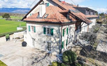 Single house 10 rooms - image - 10
