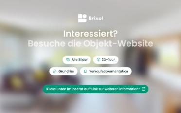 Terrace flat 4.5 rooms - image - 9