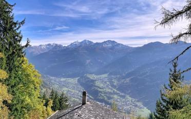 Chalet 6.5 pièces - image - 3