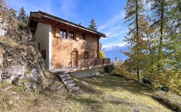 Chalet 6.5 pièces - image - 1