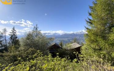 Chalet 5.5 pièces - image - 7