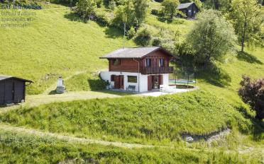 Chalet 4.5 pièces - image - 1