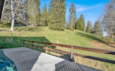 Chalet 4.5 Zimmer - image - 11