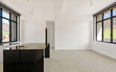 Wohnung 4.5 Zimmer - image - 2