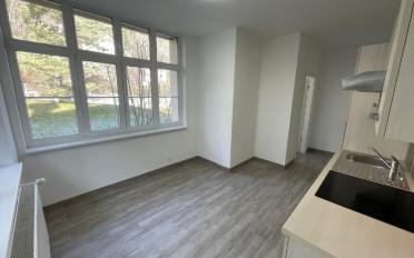 Apartment 1 room - image - 3