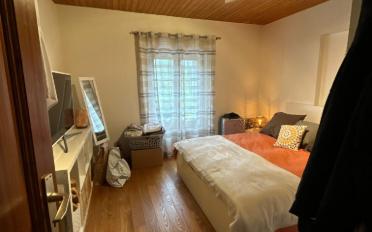 Terrace flat - image - 7