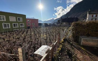 Mixed use property - image - 10