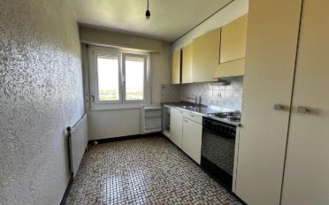 Attique 2.5 pièces - image - 6