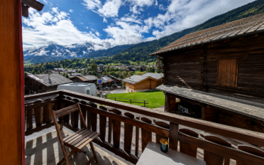 Chalet 4 rooms - image - 4