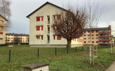 Appartement 1 pièce - image - 2