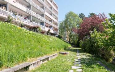 Wohnung 2.5 Zimmer - image - 1