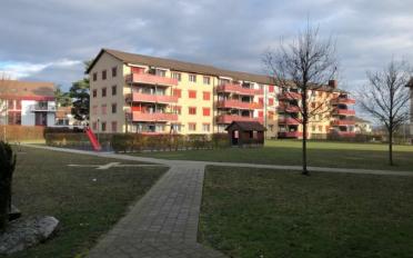 Wohnung 3.5 Zimmer - image - 1