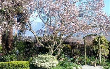 Villa 8.5 pièces - image - 14