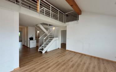 Duplex 7.5 Zimmer - image - 5