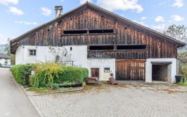 Doppeleinfamilienhaus 5.5 Zimmer - image - 1