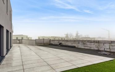 Villa 5 Zimmer - image - 7