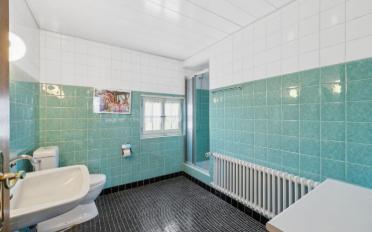 Einfamilienhaus 9.5 Zimmer - image - 9