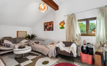 Bifamiliar house 9.5 rooms - image - 3
