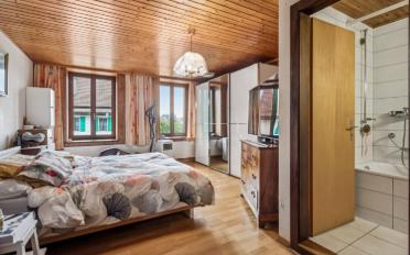 Rustic house 10 rooms - image - 3