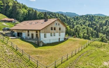 Farm house 5.5 rooms - image - 12