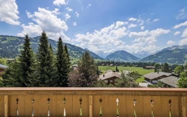 Chalet 6 rooms - image - 1