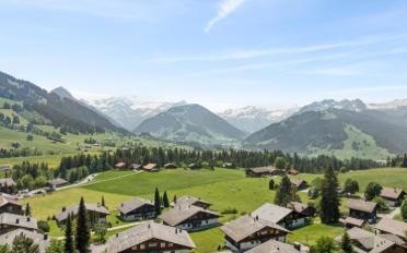 Chalet 6 rooms - image - 3