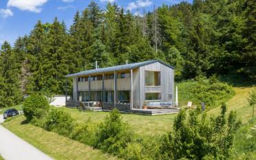 Villa 5.5 pièces - image - 2