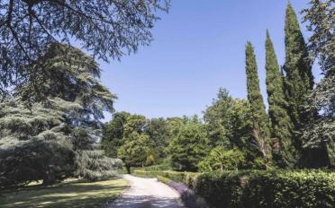 Schloss 24 Zimmer - image - 6