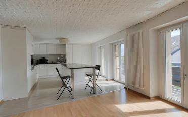 Immeuble mixte 9.5 pièces - image - 9