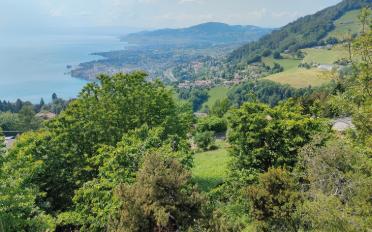 Bauland - image - 5