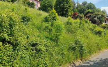 Bauland - image - 6
