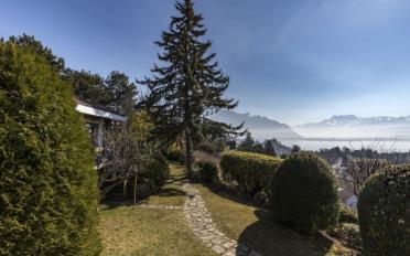 Single house 12 rooms - image - 2