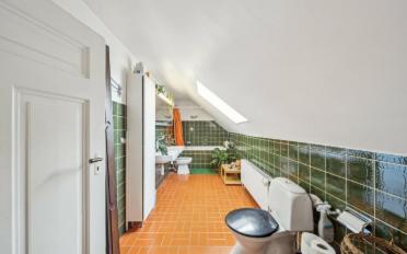Maison 8.5 pièces - image - 6