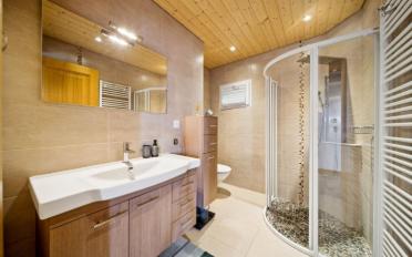 Rustic house 7 rooms - image - 6