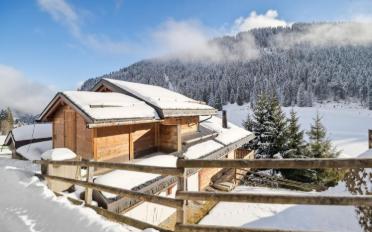 Chalet 5.5 Zimmer - image - 3