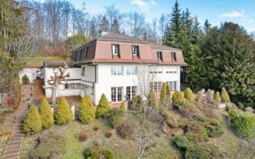 Single house 15 rooms - image - 1