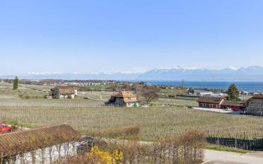 Duplex 4.5 pièces - image - 12