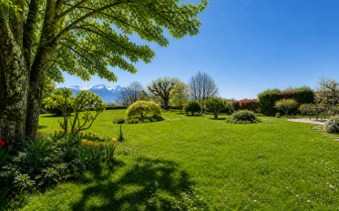 Einfamilienhaus 7.5 Zimmer - image - 2
