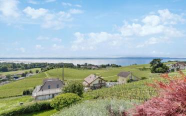 Einfamilienhaus 8.5 Zimmer - image - 1