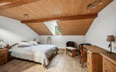 Farm house 12.5 rooms - image - 11