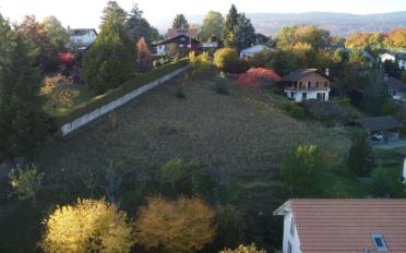 Building land - image - 7
