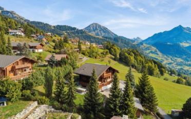 Chalet 10 rooms - image - 1