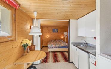 Chalet 5 rooms - image - 12