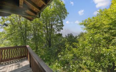 Chalet 6.5 pièces - image - 6