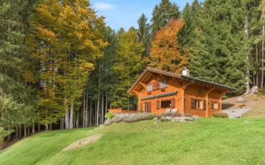 Chalet 4.5 Zimmer - image - 3