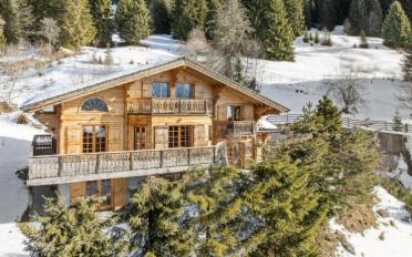 Chalet 7 rooms - image - 2