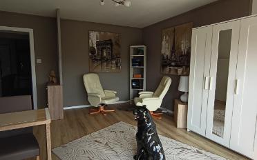 Maison contiguë 5.5 pièces - image - 9