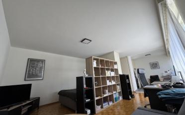 Appartement 1.5 pièces - image - 1