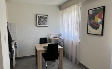 Appartement 1.5 pièces - image - 3