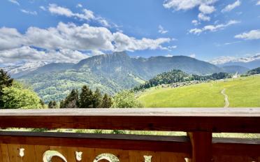 Chalet 6.5 Zimmer - image - 3